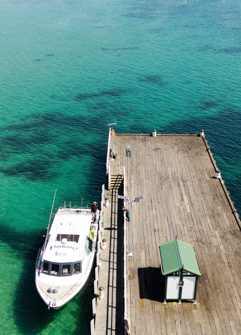 私人釣魚之旅